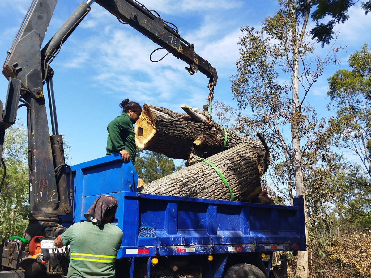Autolaadkraan